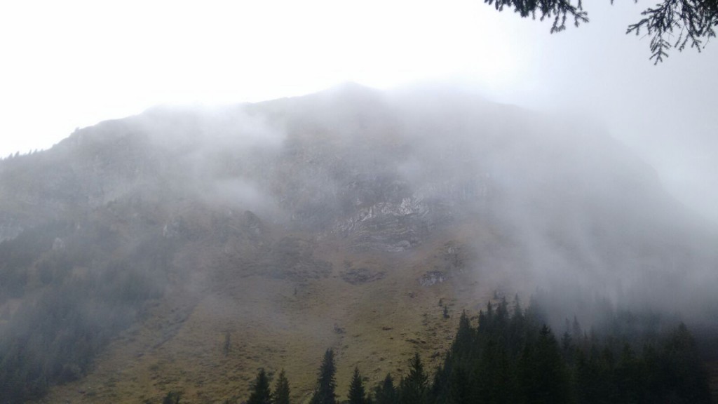 Foto 20-10-16 15 36 12