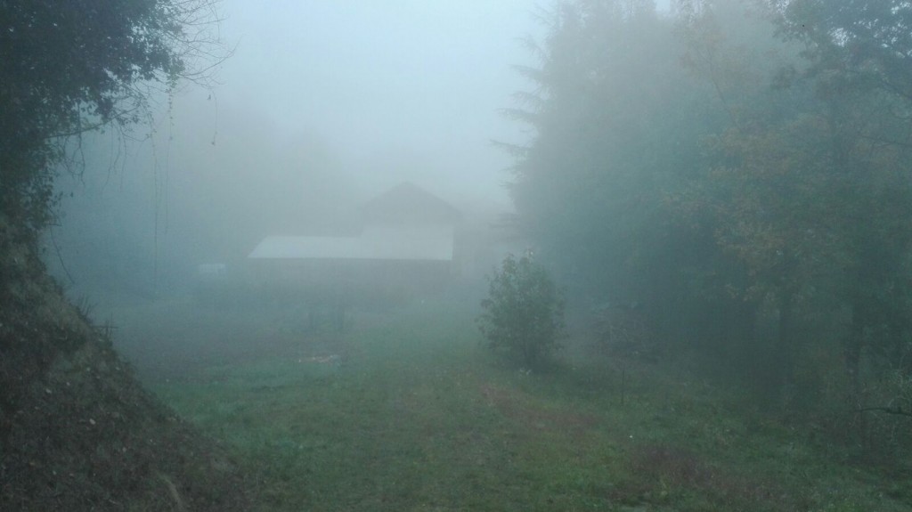 Foto 20-10-16 21 13 50